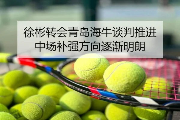 徐彬转会青岛海牛谈判推进 中场补强方向逐渐明朗